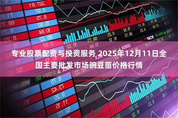 专业股票配资与投资服务 2025年12月11日全国主要批发市场豌豆苗价格行情