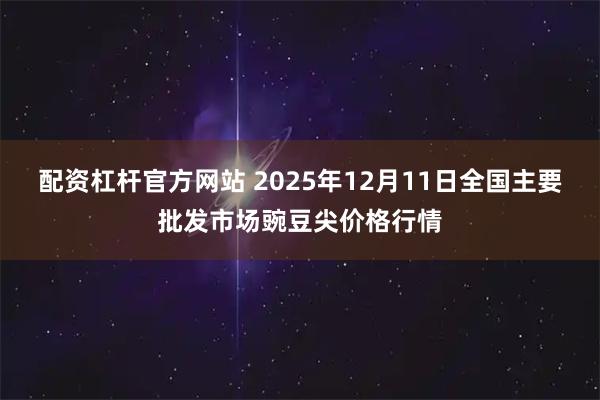 配资杠杆官方网站 2025年12月11日全国主要批发市场豌豆尖价格行情