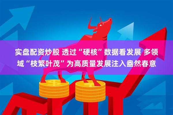 实盘配资炒股 透过“硬核”数据看发展 多领域“枝繁叶茂”为高质量发展注入盎然春意